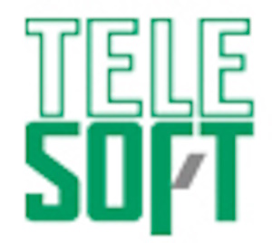 Nippon Telesoft Logo